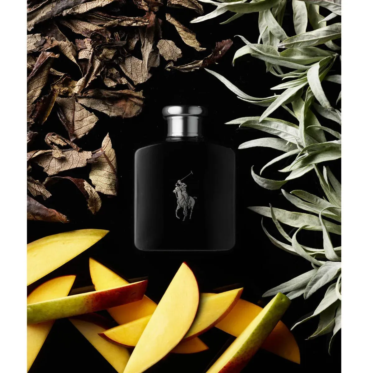 Polo Black by Ralph Lauren EDT Perfume for Men 125ml