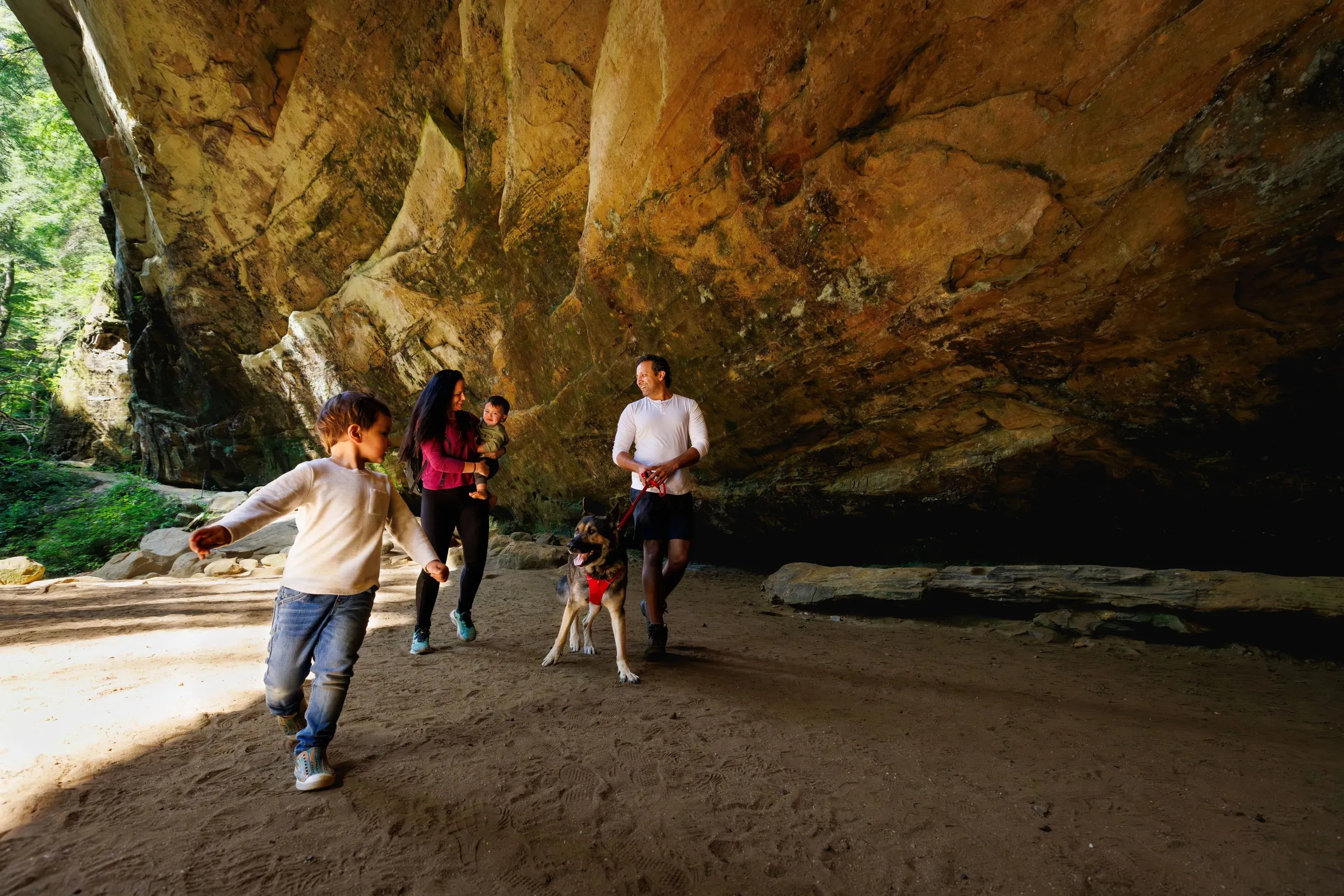 Ruffwear Front Range™ Padded Dog Harness (Coastal Mountains)