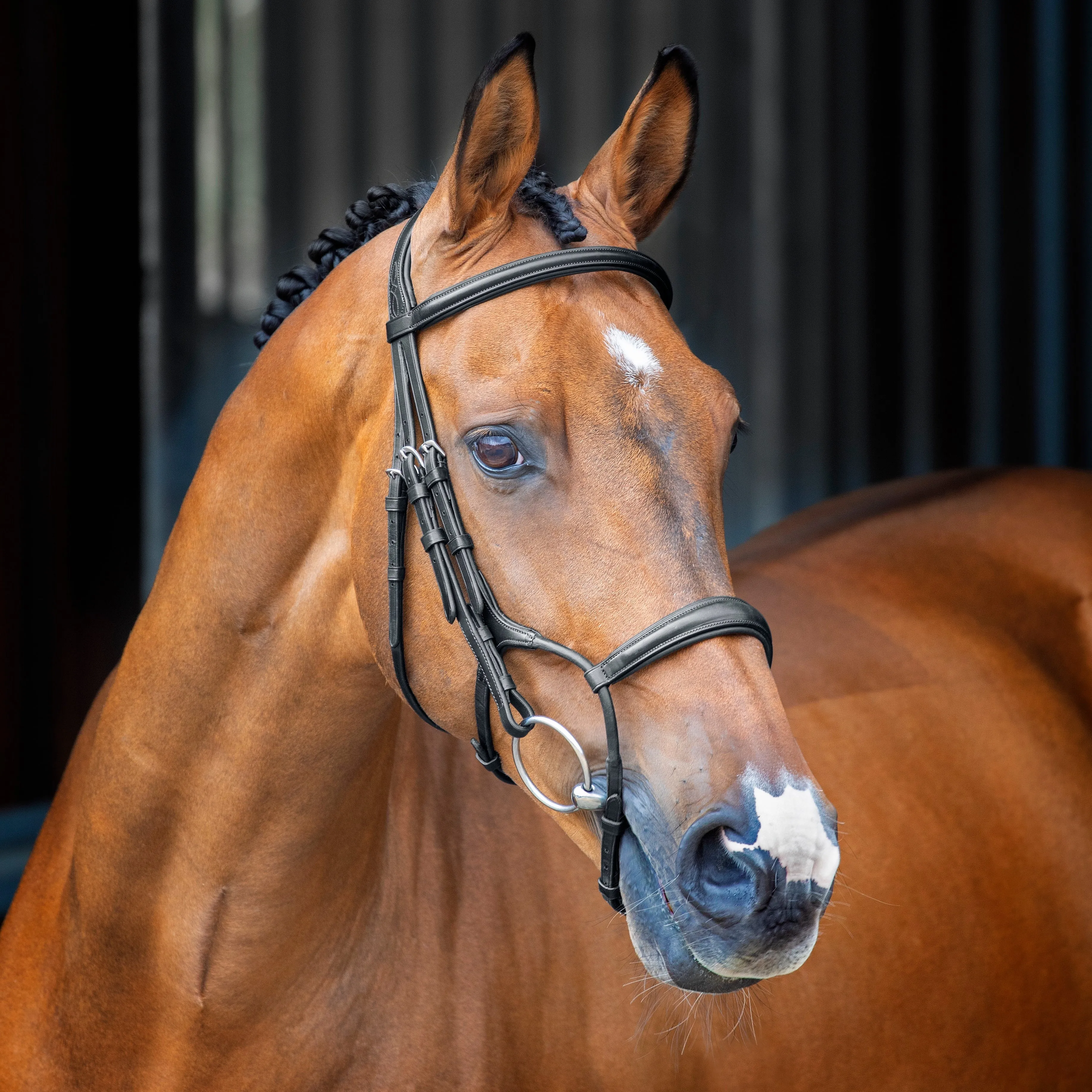 Shires Lusso Rolled Padded Cavesson Bridle 51001