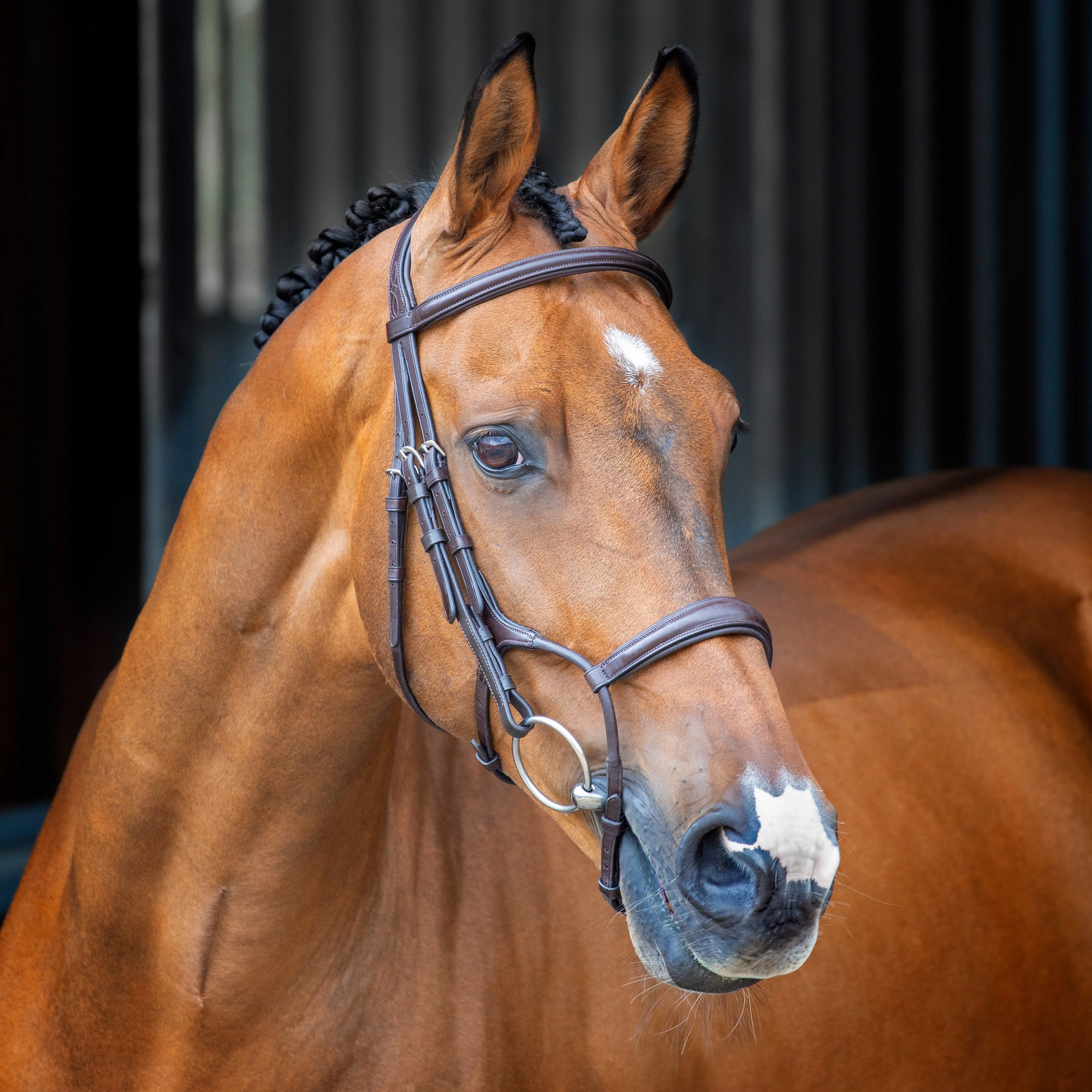 Shires Lusso Rolled Padded Cavesson Bridle 51001