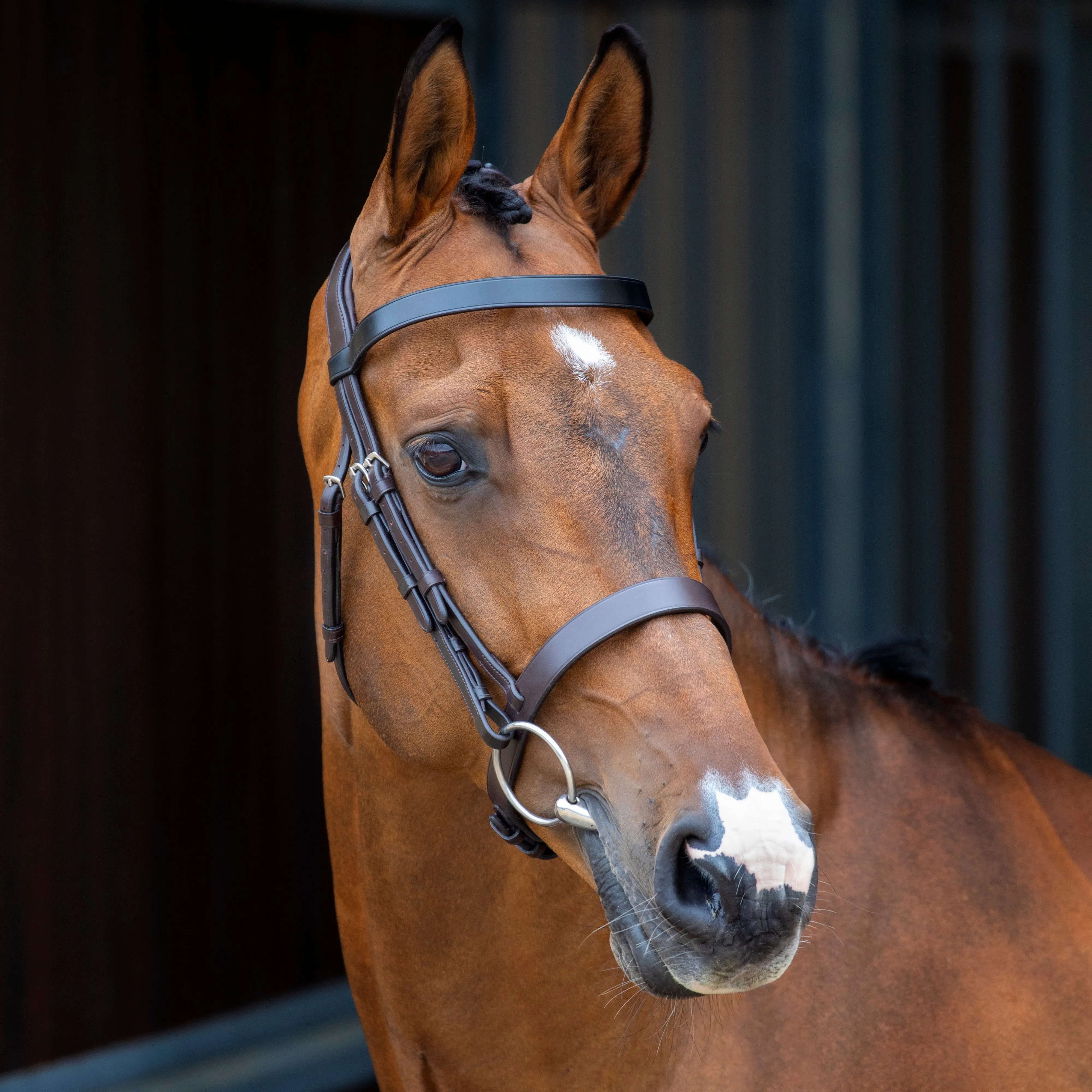 Velociti Lusso Hunter Cavesson Bridle